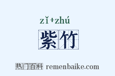 紫竹是什么意思的图片